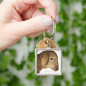 Huishoudelijke lammeren sleutelhanger (Hand)