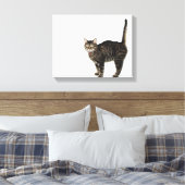 Huishoudelijke mannetjes met staande kat canvas afdruk (Insitu (Slaapkamer))