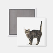 Huishoudelijke mannetjes met staande kat magneet (Voorkant / Achterkant)