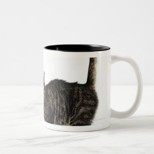 Huishoudelijke mannetjes met staande kat tweekleurige koffiemok