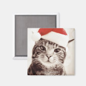Huishoudelijke tabletkat met rood kerstpet magneet (Voorkant / Achterkant)