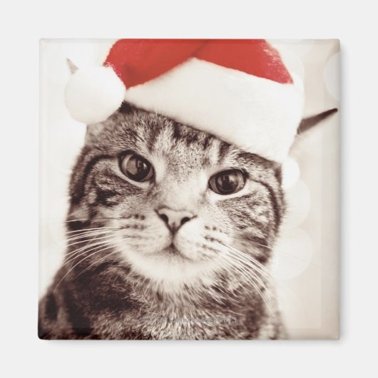 Huishoudelijke tabletkat met rood kerstpet magneet (Voorkant)