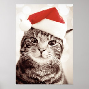 Huishoudelijke tabletkat met rood kerstpet poster