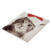 Huishoudelijke tabletkat met rood kerstpet tegeltje (Zijkant)