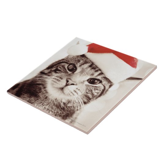 Huishoudelijke tabletkat met rood kerstpet tegeltje (Zijkant)