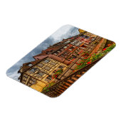 Huishoudens in Colmar, Elzas, Frankrijk Magneet (Linkerzijde)