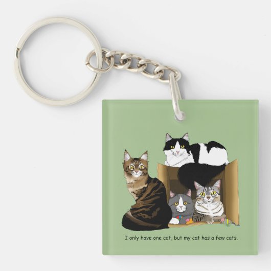Huishoudens met meerdere katten Groen grappige QR- Sleutelhanger (Voorkant)