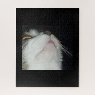Huiskat omhoog kijkend close-up zwart achtergrond legpuzzel