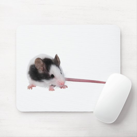 Huismuis Muismat (Met muis)
