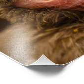 huismus nestelen Foto Uitbreiding Afdruk (Hoek)