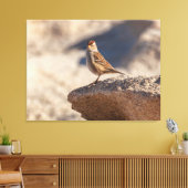 Huismus op de Rots Canvas Afdruk (Insitu (Woonkamer))