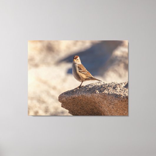 Huismus op de Rots Canvas Afdruk (Voorkant)