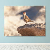 Huismus op de Rots Canvas Afdruk (Insitu (Houten vloer))