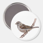 Huismus (Passer Domesticus) Magneet (Voorkant / Achterkant)
