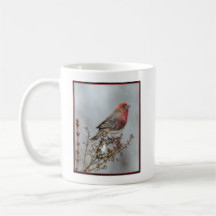 Huismusvink in Sneeuw - Originele Foto Koffiemok