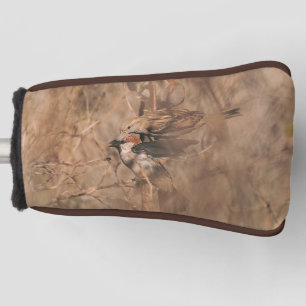 Huismusvogels in een voorjaarsstruik vogelaar golfheadcover