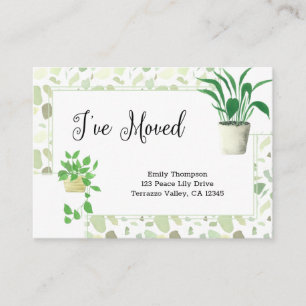 Huisplanten en Groene Terrazo die ik heb verplaats Informatiekaartje