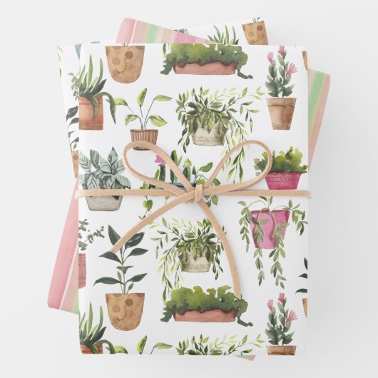 Huisplanten Inpakpapier Vel (In situ)
