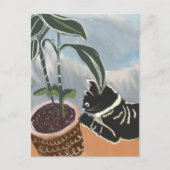 Huisplanten Postkaart Kijkende Kat (Voorkant)