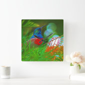 Huisvestende roofvogel vierkante klok (Huis)