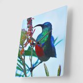 Huisvestende roofvogel vierkante klok (Hoek)