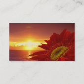 Huisvestende roofvogel visitekaartje (Achterkant)