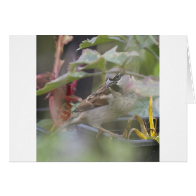 Huisvesting (Voorkant Horizontaal)