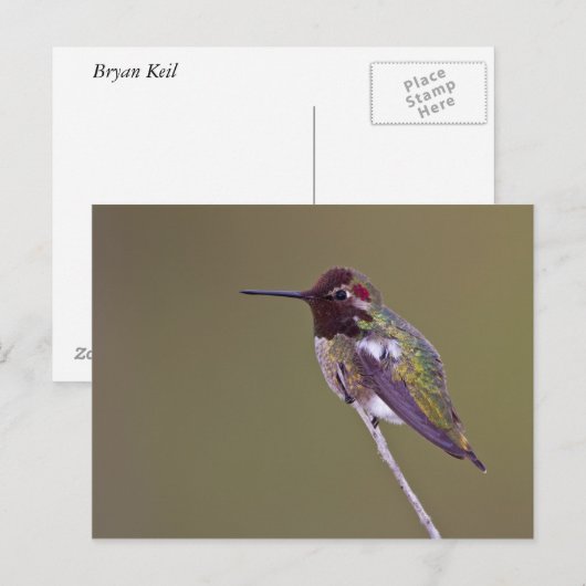 Huisvesting Briefkaart (Voorkant / Achterkant)