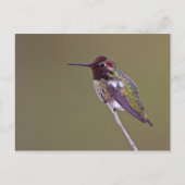 Huisvesting Briefkaart (Voorkant)