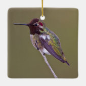 Huisvesting Keramisch Ornament (Achterkant)