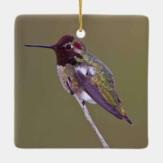 Huisvesting Keramisch Ornament (Achterkant)