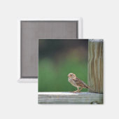 Huisvesting Magneet (Voorkant / Achterkant)