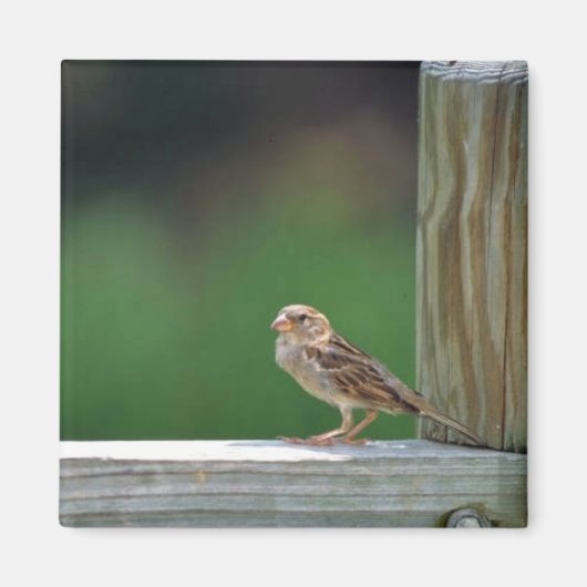 Huisvesting Magneet (Voorkant)