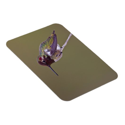 Huisvesting Magneet (Rechterzijde)