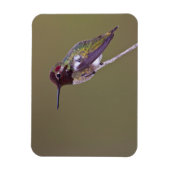 Huisvesting Magneet (Verticaal)