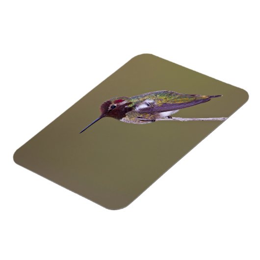 Huisvesting Magneet (Linkerzijde)