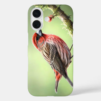 HUISVINK VOGEL ACHTERTUIN iPhone 16 HOESJE