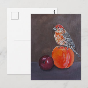 Huisvink's Middagrust Schilderij van Alfred Fox Briefkaart