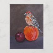 Huisvink's Middagrust Schilderij van Alfred Fox Briefkaart (Voorkant)