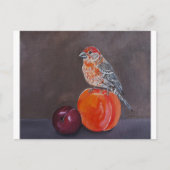 Huisvink's Middagrust Schilderij van Alfred Fox Briefkaart (Voorkant)