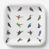 Huisvogels borden met achtergrondpapier papieren bordje (Voorkant)