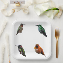 Huisvogels borden met achtergrondpapier