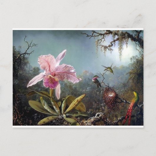 Huisvogelschilderij, orchidee, tropisch bosschilde briefkaart (Voorkant)