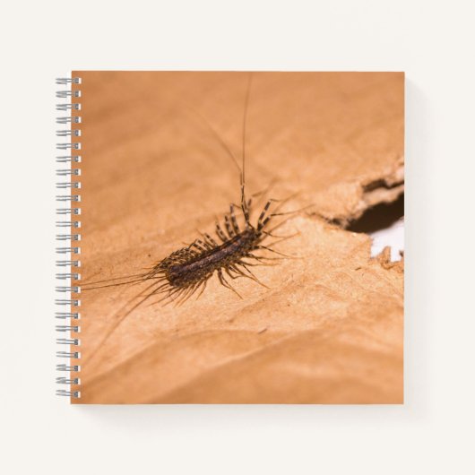 Huizenduizendpoot Notitieboek (Voorkant)