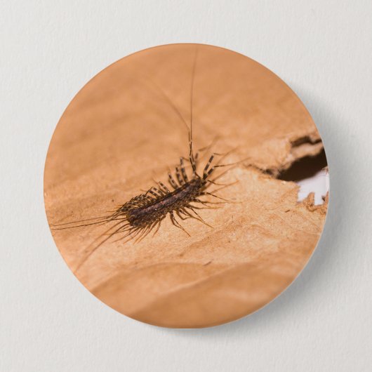 Huizenduizendpoot Ronde Button 7,6 Cm (Voorkant)