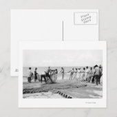 Hukilau Nets mannen Vist Surf foto Hawaï Briefkaart (Voorkant / Achterkant)