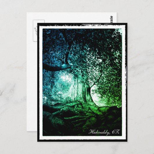 Hukvaldy - Beech Tree, Morava, Tsjechisch Briefkaa Briefkaart (Voorkant / Achterkant)