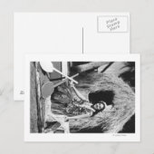 Hula Girl met Outrigger Canoe Hawaii-foto Briefkaart (Voorkant / Achterkant)