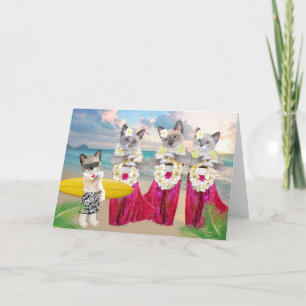 Hula Kittens Wenskaart Kaart