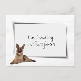 Hulde aan Duitse Herder bij verlies van huisdier Briefkaart